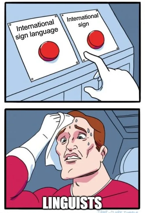 The meme features a person dabbing their forehead with a cloth, visibly sweating under the pressure of choosing between two red buttons. One button is marked "international sign language," while the other is labeled "international sign," with the caption "linguists" appearing below.
