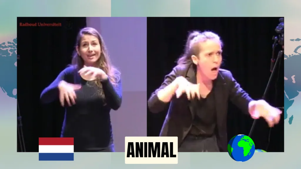 Two images are side by side comparing the sign for animal in IS and NGT.